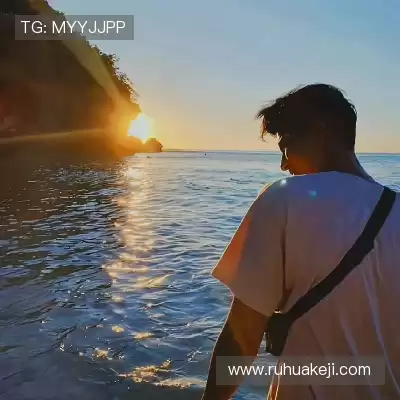 蓬财蓬